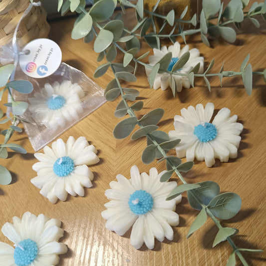 Scented daisy candle